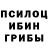 Псилоцибиновые грибы ЛСД ZirconiumAudio