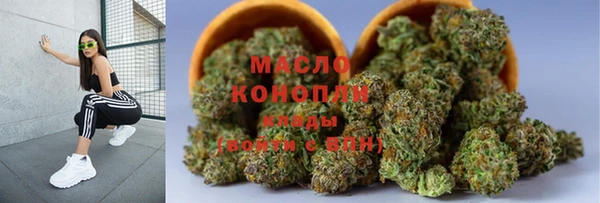 spice Ельня