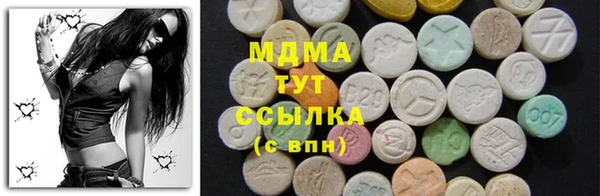 spice Ельня