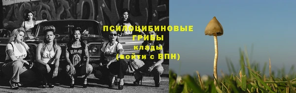 синтетический гашиш Елизово