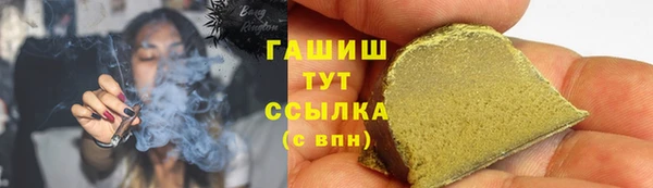 spice Ельня
