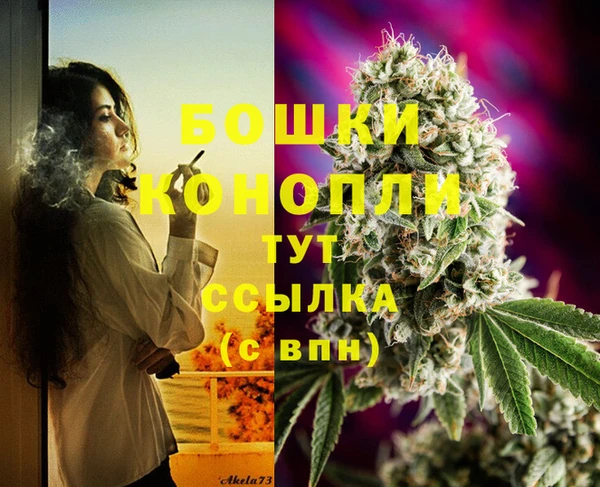 МДПВ Заволжск