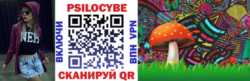 Псилоцибиновые грибы Psilocybine cubensis  Петров Вал 