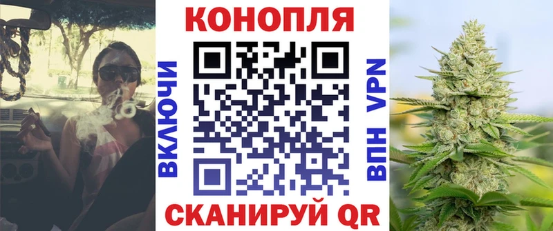 где найти наркотики  Петров Вал  Марихуана Bruce Banner 